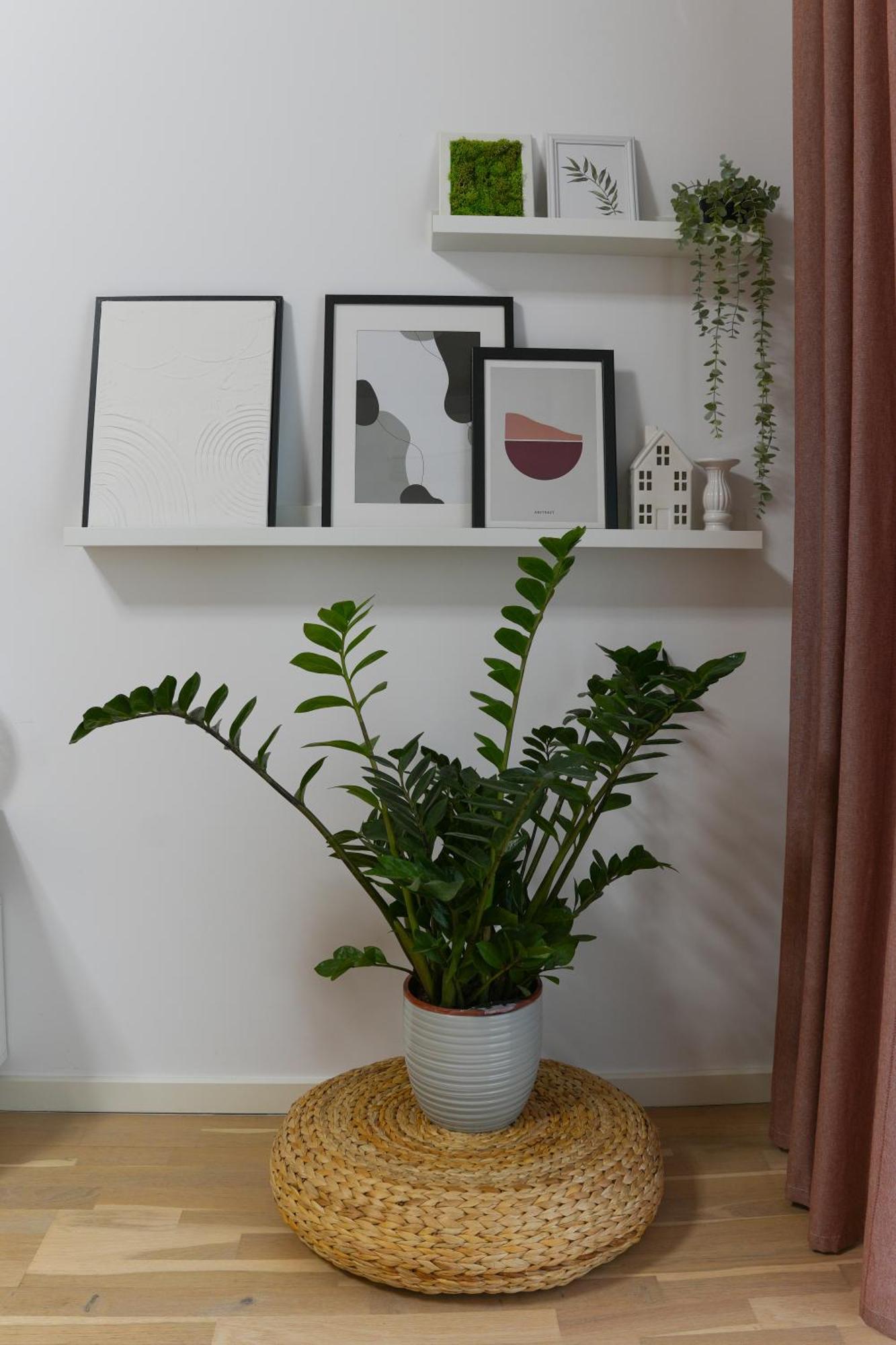 Amalia - Quiet 1Br Apartment With Parking & Wi-Fi Bucarest Exterior foto
